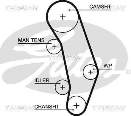 Triscan 8647 29077 - Kit cinghie dentate autozon.pro