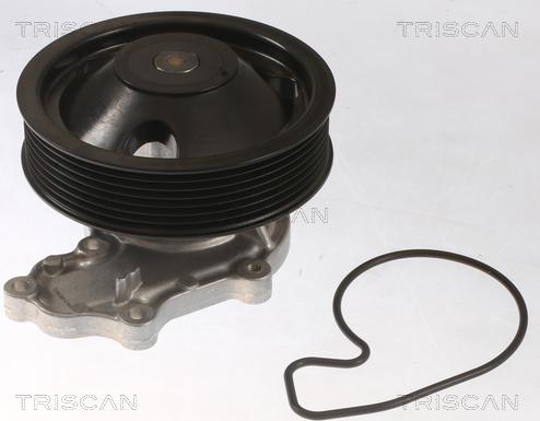 Triscan 8600 40020 - Pompa acqua autozon.pro