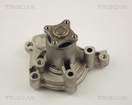 Triscan 8600 43005 - Pompa acqua autozon.pro