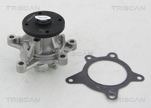 Triscan 8600 43021 - Pompa acqua autozon.pro