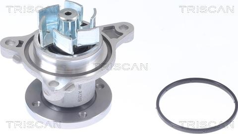 Triscan 8600 43022 - Pompa acqua autozon.pro