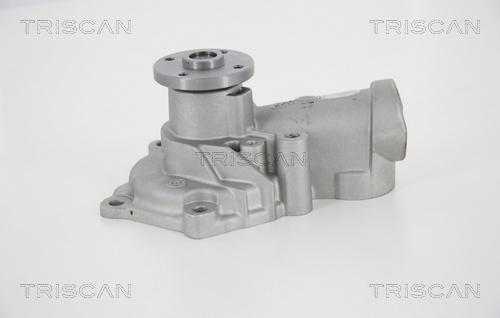 Triscan 8600 42019 - Pompa acqua autozon.pro