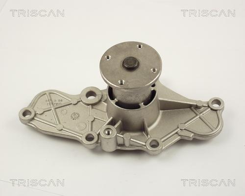 Triscan 8600 50003 - Pompa acqua autozon.pro