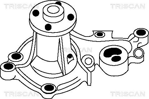 Triscan 8600 69945 - Pompa acqua autozon.pro