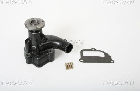 Triscan 8600 14953 - Pompa acqua autozon.pro