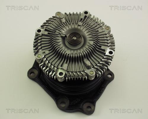 Triscan 8600 14005 - Pompa acqua autozon.pro