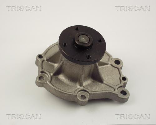 Triscan 8600 14012 - Pompa acqua autozon.pro