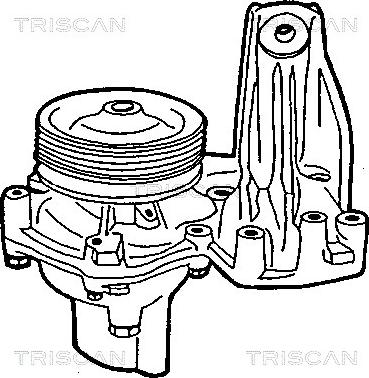 Triscan 8600 15885 - Pompa acqua autozon.pro