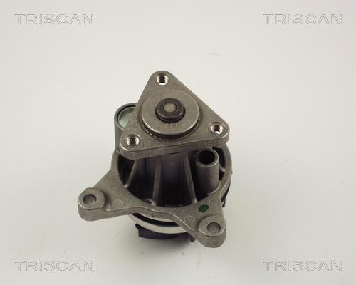 Triscan 8600 16020 - Pompa acqua autozon.pro