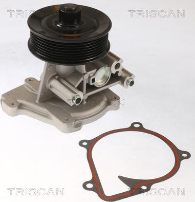 Triscan 8600 16074 - Pompa acqua autozon.pro