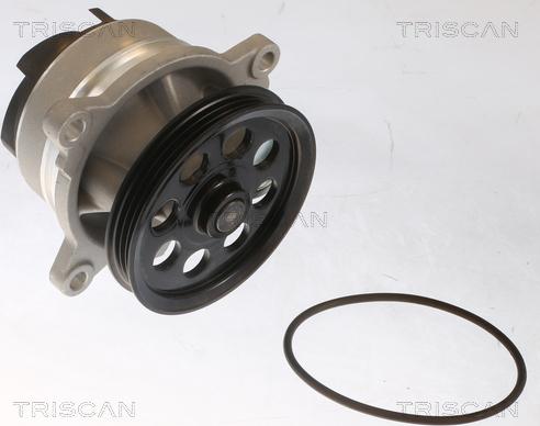 Triscan 8600 16076 - Pompa acqua autozon.pro