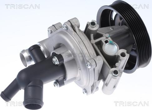 Triscan 8600 16071 - Pompa acqua autozon.pro