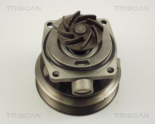 Triscan 8600 10006 - Pompa acqua autozon.pro