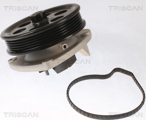 Triscan 8600 10087 - Pompa acqua autozon.pro