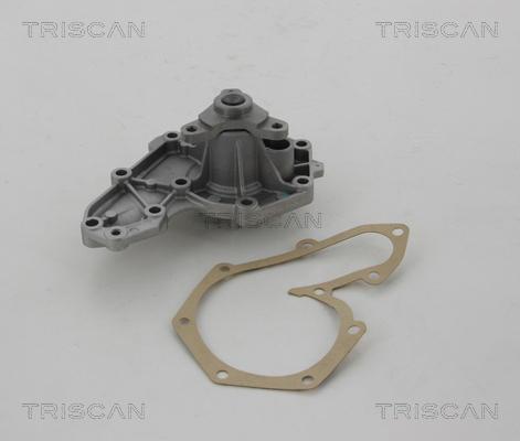 Triscan 8600 10877 - Pompa acqua autozon.pro