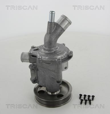 Triscan 8600 11966 - Pompa acqua autozon.pro