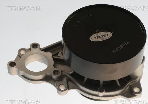 Triscan 8600 11065 - Pompa acqua autozon.pro