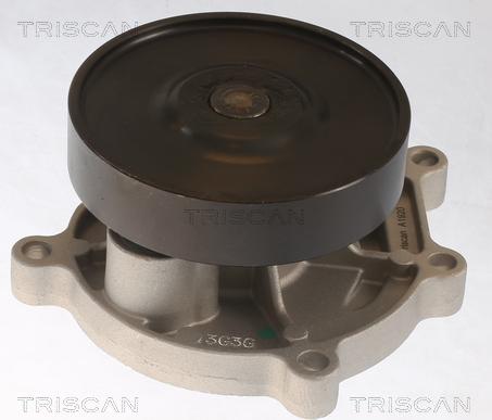 Triscan 8600 11062 - Pompa acqua autozon.pro