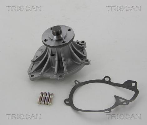 Triscan 8600 13993 - Pompa acqua autozon.pro