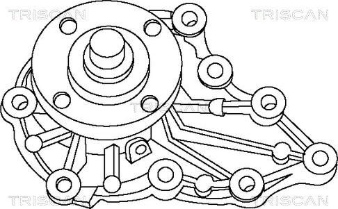 Triscan 8600 13933 - Pompa acqua autozon.pro