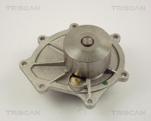 Triscan 8600 17009 - Pompa acqua autozon.pro