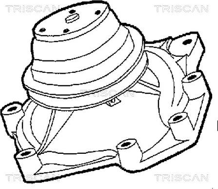 Triscan 8600 17001 - Pompa acqua autozon.pro