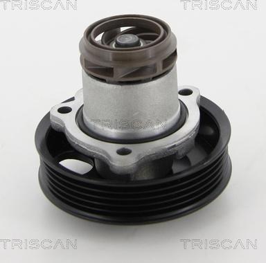 Triscan 8600 29059 - Pompa acqua autozon.pro