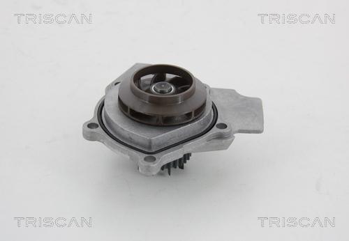 Triscan 8600 29057 - Pompa acqua autozon.pro