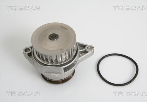 Triscan 8600 29010 - Pompa acqua autozon.pro