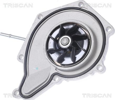 Triscan 8600 29089 - Pompa acqua autozon.pro