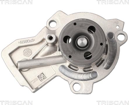 Triscan 8600 29084V - Pompa acqua autozon.pro