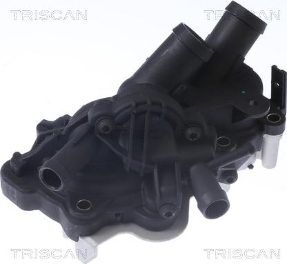 Triscan 8600 29087 - Pompa acqua autozon.pro