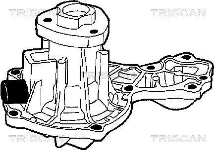 Triscan 8600 29812 - Pompa acqua autozon.pro