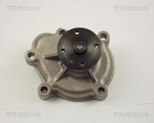 Triscan 8600 24008 - Pompa acqua autozon.pro