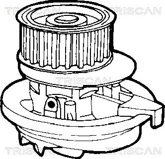 Triscan 8600 24866 - Pompa acqua autozon.pro