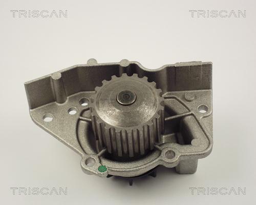 Triscan 8600 28916 - Pompa acqua autozon.pro