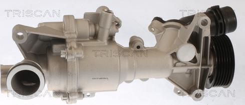 Triscan 8600 23098 - Pompa acqua autozon.pro