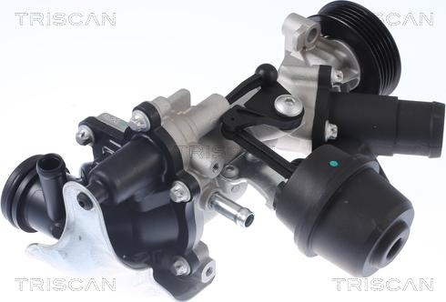 Triscan 8600 23077 - Pompa acqua autozon.pro