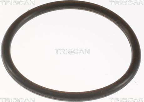 Triscan 8620 9991 - Termostato, Refrigerante autozon.pro