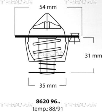 Triscan 8620 9691 - Termostato, Refrigerante autozon.pro