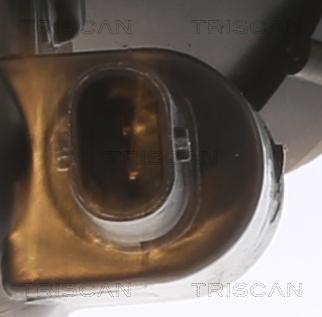 Triscan 8620 48997 - Termostato, Refrigerante autozon.pro