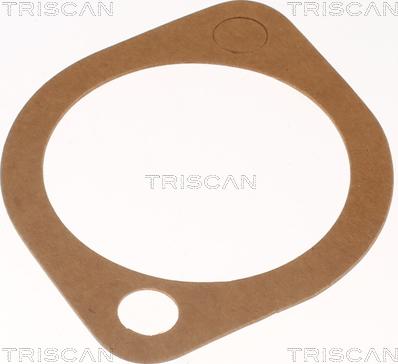 Triscan 8620 5791 - Termostato, Refrigerante autozon.pro