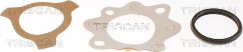 Triscan 8620 6482 - Termostato, Refrigerante autozon.pro