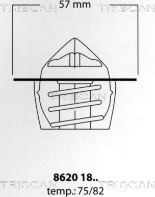 Triscan 8620 1875 - Termostato, Refrigerante autozon.pro