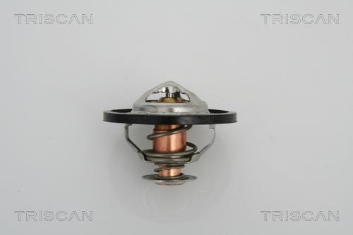 Triscan 8620 13591 - Termostato, Refrigerante autozon.pro