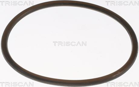 Triscan 8620 8888 - Termostato, Refrigerante autozon.pro