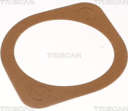 Triscan 8620 8382 - Termostato, Refrigerante autozon.pro