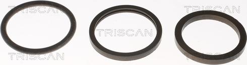 Triscan 8620 3982 - Termostato, Refrigerante autozon.pro