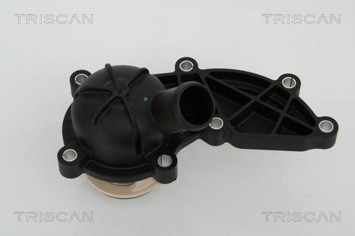 Triscan 8620 21688 - Termostato, Refrigerante autozon.pro