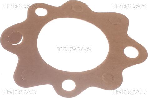 Triscan 8620 7882 - Termostato, Refrigerante autozon.pro